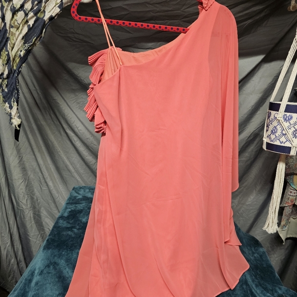 NEW Max and Cleo Coral Rose Woven Cocktail Dress sz 2 - Picture 3 of 5